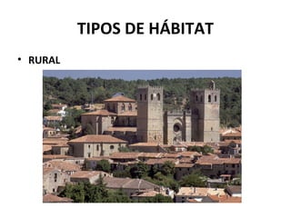 TIPOS DE HÁBITAT
• RURAL
 