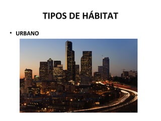 TIPOS DE HÁBITAT
• URBANO
 