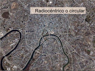 Radiocéntrico o circular
 