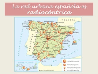 La red urbana española es
radiocéntrica
 