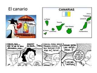 El canario
 