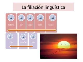La filiación lingüística
 