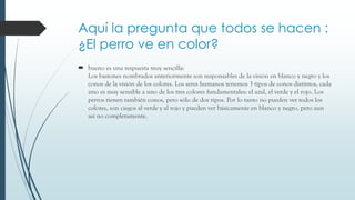 Aquí la pregunta que todos se hacen :
¿El perro ve en color?
 bueno es una respuesta muy sencilla:
Los bastones nombrados anteriormente son responsables de la visión en blanco y negro y los
conos de la visión de los colores. Los seres humanos tenemos 3 tipos de conos distintos, cada
uno es muy sensible a uno de los tres colores fundamentales: el azul, el verde y el rojo. Los
perros tienen también conos, pero sólo de dos tipos. Por lo tanto no pueden ver todos los
colores, son ciegos al verde y al rojo y pueden ver básicamente en blanco y negro, pero aun
así no completamente.

 