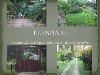 RESERVA ECOLÓGICA ESPECIAL Y DE PROTECCIÓN
 