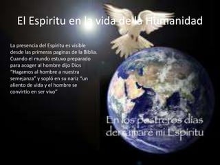 El Espiritu en la vida de la Humanidad
La presencia del Espiritu es visible
desde las primeras paginas de la Biblia.
Cuando el mundo estuvo preparado
para acoger al hombre dijo Dios
“Hagamos al hombre a nuestra
semejanza” y sopló en su nariz “un
aliento de vida y el hombre se
convirtio en ser vivo”
 