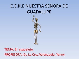 C.E.N.E NUESTRA SEÑORA DE GUADALUPE TEMA: El  esqueleto PROFESORA: De La Cruz Valenzuela, Yenny 