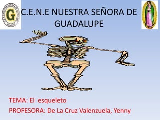 C.E.N.E NUESTRA SEÑORA DE
GUADALUPE
TEMA: El esqueleto
PROFESORA: De La Cruz Valenzuela, Yenny
 