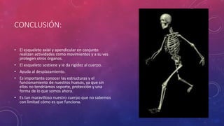 CONCLUSIÓN:
• El esqueleto axial y apendicular en conjunto
realizan actividades como movimientos y a su ves
protegen otros órganos.
• El esqueleto sostiene y le da rigidez al cuerpo.
• Ayuda al desplazamiento.
• Es importante conocer las estructuras y el
funcionamiento de nuestros huesos, ya que sin
ellos no tendríamos soporte, protección y una
forma de lo que somos ahora.
• Es tan maravilloso nuestro cuerpo que no sabemos
con limitad cómo es que funciona.
 