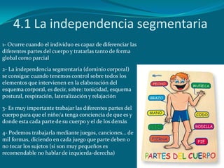 4.1 La independencia segmentaria
1- Ocurre cuando el individuo es capaz de diferenciar las
diferentes partes del cuerpo y ...