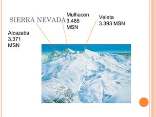 Mulhacen   Veleta
SIERRA     NEVADA 3.485      3.393 MSN
                  MSN
Alcazaba
3.371
MSN
 
