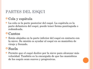 PARTES DEL ESQUI
 Cola    y espátula
   La cola es la parte posterior del esquí. La espátula es la
    parte delantera del esquí, puede tener forma puntiaguda o
    redondeada.
 Cantos
   Están alojados en la parte inferior del esquí en contacto con
    la nieve. Su misión es ayudar al esquí en su maniobra de
    viraje y frenado.
 Suela
   Permite que el esquí deslice por la nieve para alcanzar más
    velocidad. También es la encargada de que las maniobras
    de los esquís sean suaves y progresivas.
 