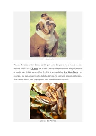 Sobre Animais


Pessoas famosas cuidam da sua solidão por causa das gravações e shows que elas

tem que fazer criandocachorro, ele vira seu companheiro inseparável sempre presente

e pronto para todas as ocasiões. A atriz e apresentadora Ana Maria Braga, por

exemplo, cria cachorros um deles trabalha com ela no programa a cadela belinha que

esta sempre ao seu lado no programa, uma companheira inseparável.




                               Extinção dos Animais
 