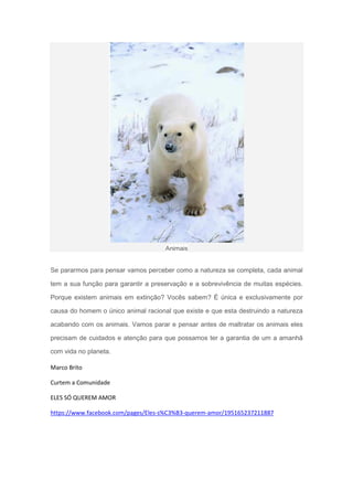 Animais


Se pararmos para pensar vamos perceber como a natureza se completa, cada animal

tem a sua função para garantir a preservação e a sobrevivência de muitas espécies.

Porque existem animais em extinção? Vocês sabem? É única e exclusivamente por

causa do homem o único animal racional que existe e que esta destruindo a natureza

acabando com os animais. Vamos parar e pensar antes de maltratar os animais eles

precisam de cuidados e atenção para que possamos ter a garantia de um a amanhã

com vida no planeta.

Marco Brito

Curtem a Comunidade

ELES SÓ QUEREM AMOR

https://www.facebook.com/pages/Eles-s%C3%B3-querem-amor/195165237211887
 