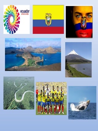 El estado ecuatoriano