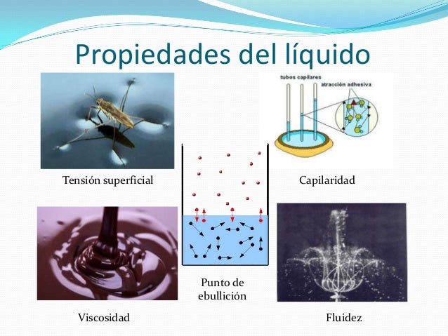 El estado líquido