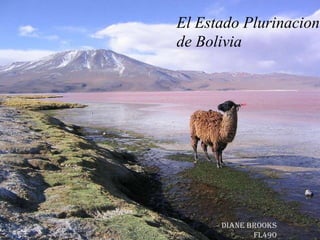 El Estado Plurinacional de Bolivia,[object Object],Diane Brooks,[object Object],FL490,[object Object]