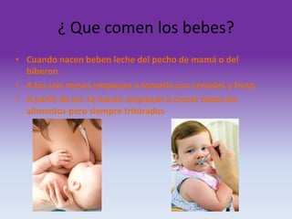 ¿ Que comen los bebes?
• Cuando nacen beben leche del pecho de mamá o del
biberon
• A los seis meses empiezan a tomarla con cereales y fruta.
• A partir de los 12 meses empiezan a comer todos los
alimentos pero siempre triturados

 