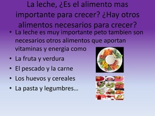 La leche, ¿Es el alimento mas
importante para crecer? ¿Hay otros
alimentos necesarios para crecer?

• La leche es muy importante peto tambien son
necesarios otros alimentos que aportan
vitaminas y energia como
• La fruta y verdura
• El pescado y la carne
• Los huevos y cereales
• La pasta y legumbres…

 
