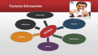 Factores Estresantes
Ambientales
Sociales
Alimentarios
Manejo
patológico
individuales
 