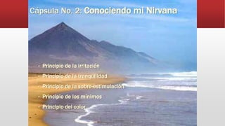 Cápsula No. 2: Conociendo mi Nirvana
• Principio de la irritación
• Principio de la tranquilidad
• Principio de la sobre-estimulación
• Principio de los mínimos
• Principio del color
 