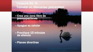 Cápsula No. 8:
Tómate un descanso placentero
 Crea una zona libre de
preocupaciones
 Apague su celular
 Practique 15 minutos
de silencio
 Planee divertirse
http://www.youtube.com/watch?v=dPrC
ck-wqt8&feature=related
 