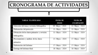 CRONOGRAMA DE ACTIVIDADES
 