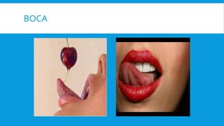 BOCA
 