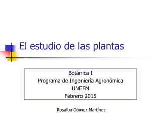 El estudio de las plantas
Botánica I
Programa de Ingeniería Agronómica
UNEFM
Febrero 2015
Rosalba Gómez Martínez
 