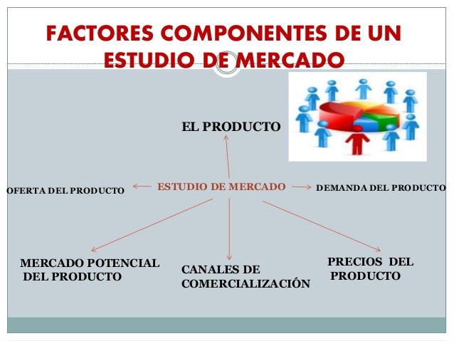 El estudio del mercado