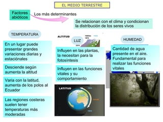 EL MEDIO TERRESTRE
Factores
abióticos
Los más determinantes
Se relacionan con el clima y condicionan
la distribución de los seres vivos
TEMPERATURA
En un lugar puede
presentar grandes
variaciones diarias y
estaciónales
Desciende según
aumenta la altitud
Varia con la latitud,
aumenta de los polos al
Ecuador
Las regiones costeras
suelen tener
temperaturas más
moderadas
LUZ
Influyen en las plantas,
la necesitan para la
fotosíntesis
Influyen en las funciones
vitales y su
comportamiento
HUMEDAD
Cantidad de agua
presente en el aire.
Fundamental para
realizar las funciones
vitales
 