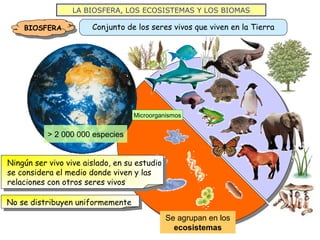 LA BIOSFERA, LOS ECOSISTEMAS Y LOS BIOMAS
BIOSFERA Conjunto de los seres vivos que viven en la Tierra
> 2 000 000 especies
Microorganismos
Ningún ser vivo vive aislado, en su estudio
se considera el medio donde viven y las
relaciones con otros seres vivos
Se agrupan en los
ecosistemas
No se distribuyen uniformemente
 