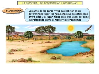 LA BIOSFERA, LOS ECOSISTEMAS Y LOS BIOMAS
ECOSISTEMA Conjunto de los seres vivos que habitan en un
determinado lugar, las relaciones que se establecen
entre ellos y el lugar físico en el que viven, así como
las relaciones entre el medio y los organismos
 