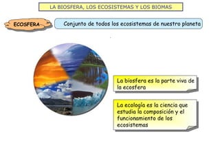 LA BIOSFERA, LOS ECOSISTEMAS Y LOS BIOMAS
ECOSFERA Conjunto de todos los ecosistemas de nuestro planeta
La biosfera es la parte viva de
la ecosfera
La ecología es la ciencia que
estudia la composición y el
funcionamiento de los
ecosistemas
 