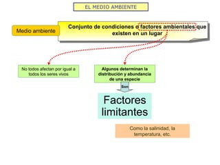 Conjunto de condiciones o factores ambientales que
existen en un lugar
EL MEDIO AMBIENTE
Medio ambiente
No todos afectan por igual a
todos los seres vivos
Algunos determinan la
distribución y abundancia
de una especie
Factores
limitantes
Son
Como la salinidad, la
temperatura, etc.
 