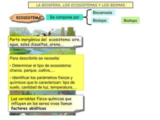 LA BIOSFERA, LOS ECOSISTEMAS Y LOS BIOMAS
Se compone por
Biocenosis
Biotopo
ECOSISTEMA
Biotopo
Parte inorgánica del ecosistema: aire,
agua, sales disueltas, arena,…
Para describirlo se necesita:
- Determinar el tipo de ecosistema:
charca, parque, cultivo,…
- Identificar los parámetros físicos y
químicos que lo caracterizan: tipo de
suelo, cantidad de luz, temperatura,…
Las variables físico-químicas que
influyen en los seres vivos llaman
factores abióticos
 