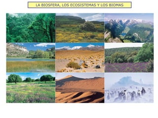 LA BIOSFERA, LOS ECOSISTEMAS Y LOS BIOMAS
TERRESTRES: desierto frío, tundra, taiga, estepa, bosque caducifolio,
bosque mediterráneo, bosque ecuatorial, bosque
tropical, sabana y desierto cálido
BIOMAS Ecosistemas que ocupan
regiones muy extensas
Flora y fauna
específicas
Adaptadas a las
condiciones
ambientales del lugar
ACUÁTICOS: de agua dulce y marino
 