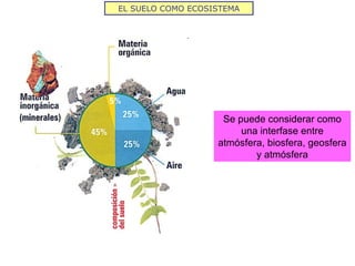 EL SUELO COMO ECOSISTEMA
Se puede considerar como
una interfase entre
atmósfera, biosfera, geosfera
y atmósfera
 