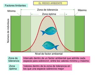 EL MEDIO AMBIENTE
Factores limitantes
Mínimo MáximoZona de tolerancia
Zona óptima
Zona de
tolerancia
Intervalo dentro de un factor ambiental que admite cada
especie para sobrevivir, entre los valores mínimo y máximo
Númerodeindividuos
Nivel de factor ambiental
Zona
óptima
Valores dentro de la zona de tolerancia en
los que una especie sobrevive mejor
 