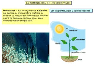 LA ALIMENTACIÓN DE LOS SERES VIVOS
Productores – Son los organismos autótrofos
que fabrican su propia materia orgánica, su
alimento. La mayoría son fotosintéticos lo hacen
a partir de dióxido de carbono, agua, sales
minerales usando energía solar.
Son las plantas, algas y algunas bacteriasSon las plantas, algas y algunas bacterias
 