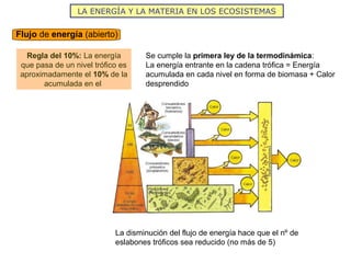 LA ENERGÍA Y LA MATERIA EN LOS ECOSISTEMAS
Flujo de energía (abierto)
Regla del 10%: La energía
que pasa de un nivel trófico es
aproximadamente el 10% de la
acumulada en el
Se cumple la primera ley de la termodinámica:
La energía entrante en la cadena trófica = Energía
acumulada en cada nivel en forma de biomasa + Calor
desprendido
La disminución del flujo de energía hace que el nº de
eslabones tróficos sea reducido (no más de 5)
 