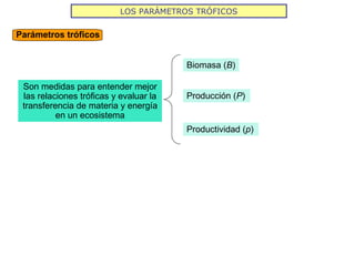 LOS PARÁMETROS TRÓFICOS
Parámetros tróficos
Son medidas para entender mejor
las relaciones tróficas y evaluar la
transferencia de materia y energía
en un ecosistema
Producción (P)
Biomasa (B)
Productividad (p)
 
