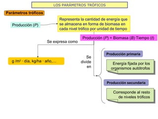 LOS PARÁMETROS TRÓFICOS
Parámetros tróficos
Producción (P)
Representa la cantidad de energía que
se almacena en forma de biomasa en
cada nivel trófico por unidad de tiempo
g /m2
· día, kg/ha · año,…
Se expresa como
Se
divide
en
Producción primaria
Producción secundaria
Energía fijada por los
organismos autótrofos
Energía fijada por los
organismos autótrofos
Corresponde al resto
de niveles tróficos
Corresponde al resto
de niveles tróficos
Producción (P) = Biomasa (B)·Tiempo (t)
 