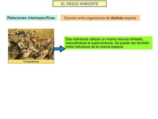 Competencia
EL MEDIO AMBIENTE
Relaciones interespecíficas Ocurren entre organismos de distinta especie
Dos individuos utilizan un mismo recurso limitado,
reduciéndose la supervivencia. Se puede dar también
entre individuos de la misma especie
 