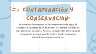 Contaminación y
conservación:
Se examinan los impactos de la contaminación del agua, la
sobrepesca, la degradación del hábitat y el cambio climático en
los ecosistemas acuáticos. Además, se desarrollan estrategias de
conservación para proteger la biodiversidad y los servicios
ecosistémicos que proporcionan.
 