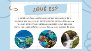 ¿QUÉ ES?
El estudio de los ecosistemas acuáticos es una rama de la
ecología que se centra en comprender los sistemas biológicos y
físicos en ambientes acuáticos, que pueden incluir océanos,
mares, ríos, lagos, estanques, humedales y otros cuerpos de agua.
 