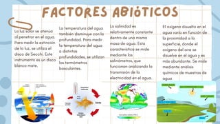 Factores abióticos
La luz solar se atenúa
al penetrar en el agua.
Para medir la extinción
de la luz, se utiliza el
disco de Secchi. Este
instrumento es un disco
blanco mate.
La temperatura del agua
también disminuye con la
profundidad. Para medir
la temperatura del agua
a distintas
profundidades, se utilizan
los termómetros
basculantes.
La salinidad es
relativamente constante
dentro de una misma
masa de agua. Esta
característica se mide
mediante los
salinómetros, que
funcionan analizando la
transmisión de la
electricidad en el agua.
El oxígeno disuelto en el
agua varía en función de
la proximidad a la
superficie, donde el
oxígeno del aire se
disuelve en el agua y es
más abundante. Se mide
mediante análisis
químicos de muestras de
agua
 