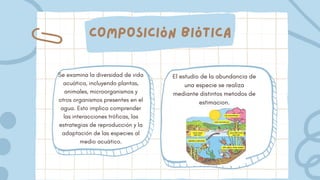Composición biótica
Se examina la diversidad de vida
acuática, incluyendo plantas,
animales, microorganismos y
otros organismos presentes en el
agua. Esto implica comprender
las interacciones tróficas, las
estrategias de reproducción y la
adaptación de las especies al
medio acuático.
El estudio de la abundancia de
una especie se realiza
mediante distintos metodos de
estimacion.
 