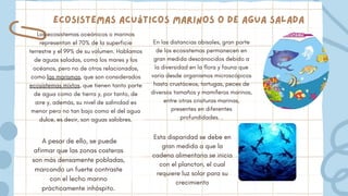 Ecosistemas acuáticos marinos o de agua salada
Los ecosistemas oceánicos o marinos
representan el 70% de la superficie
terrestre y el 99% de su volumen. Hablamos
de aguas saladas, como los mares y los
océanos, pero no de otros relacionados,
como las marismas, que son considerados
ecosistemas mixtos, que tienen tanto parte
de agua como de tierra y, por tanto, de
aire y, además, su nivel de salinidad es
menor pero no tan bajo como el del agua
dulce, es decir, son aguas salobres.
En las distancias abisales, gran parte
de los ecosistemas permanecen en
gran medida desconocidos debido a
la diversidad en la flora y fauna que
varía desde organismos microscópicos
hasta crustáceos, tortugas, peces de
diversos tamaños y mamíferos marinos,
entre otras criaturas marinas,
presentes en diferentes
profundidades. .
A pesar de ello, se puede
afirmar que las zonas costeras
son más densamente pobladas,
marcando un fuerte contraste
con el lecho marino
prácticamente inhóspito.
Esta disparidad se debe en
gran medida a que la
cadena alimentaria se inicia
con el plancton, el cual
requiere luz solar para su
crecimiento
 