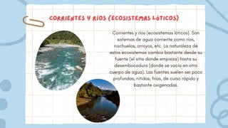 Corrientes y ríos (ecosistemas lóticos)
Corrientes y ríos (ecosistemas lóticos). Son
sistemas de agua corriente como ríos,
riachuelos, arroyos, etc. La naturaleza de
estos ecosistemas cambia bastante desde su
fuente (el sitio donde empieza) hasta su
desembocadura (donde se vacía en otro
cuerpo de agua). Las fuentes suelen ser poco
profundas, nítidas, frías, de curso rápido y
bastante oxigenadas.
 