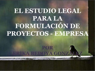 EL ESTUDIO LEGAL
       PARA LA
  FORMULACIÓN DE
PROYECTOS - EMPRESA

          POR
 ERIKA BEDOYA GONZÁLEZ
 
